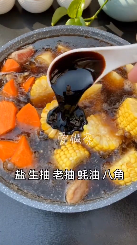 家常排骨的做法-家常味燉菜譜