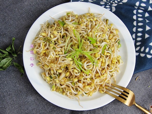 自家發(fā)的綠豆芽的做法-家常味炒菜譜-易網(wǎng)健康養(yǎng)生網(wǎng) 自家發(fā)的綠豆芽的做法-家常味炒菜譜
