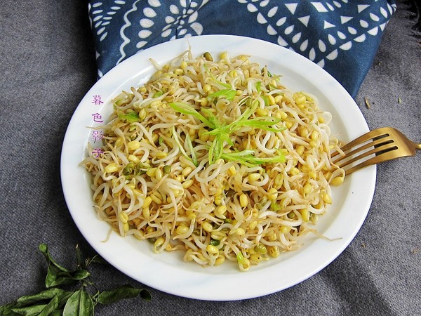 自家發(fā)的綠豆芽的做法-家常味炒菜譜-易網(wǎng)健康養(yǎng)生網(wǎng) 自家發(fā)的綠豆芽的做法-家常味炒菜譜
