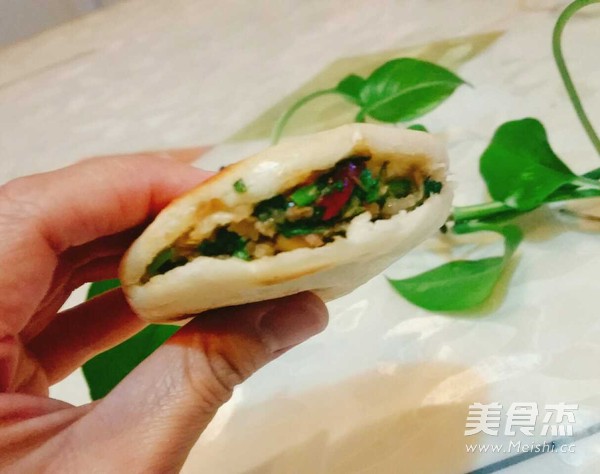 鹵肉香菜夾饃的做法-醬香味煨菜譜