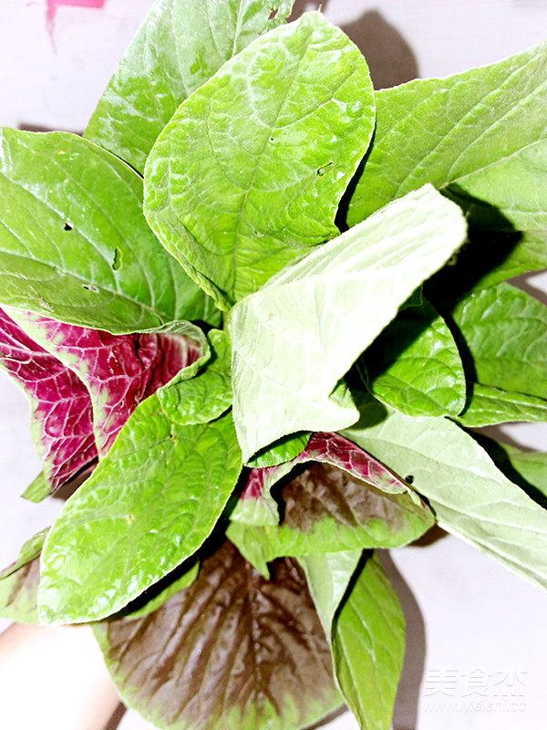野莧菜這樣做既有營養又好吃哦的做法-家常味炒菜譜-易網健康養生網 野莧菜這樣做既有營養又好吃哦的做法-家常味炒菜譜
