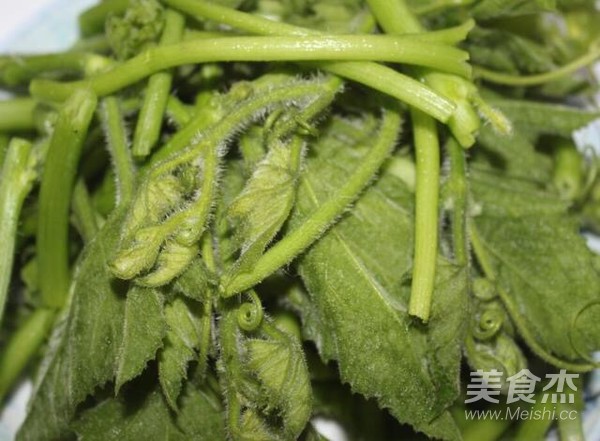 南瓜苗瘦肉湯的做法-咸鮮味煮菜譜