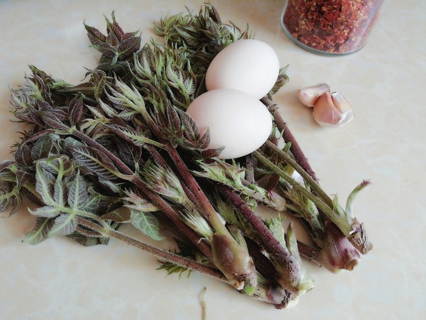 刺嫩芽煎蛋的做法-香辣味煎菜譜-易網<a href=http://www.aoa7937.com/ target=_blank class=infotextkey>健康養生</a>網 刺嫩芽煎蛋的做法-香辣味煎菜譜