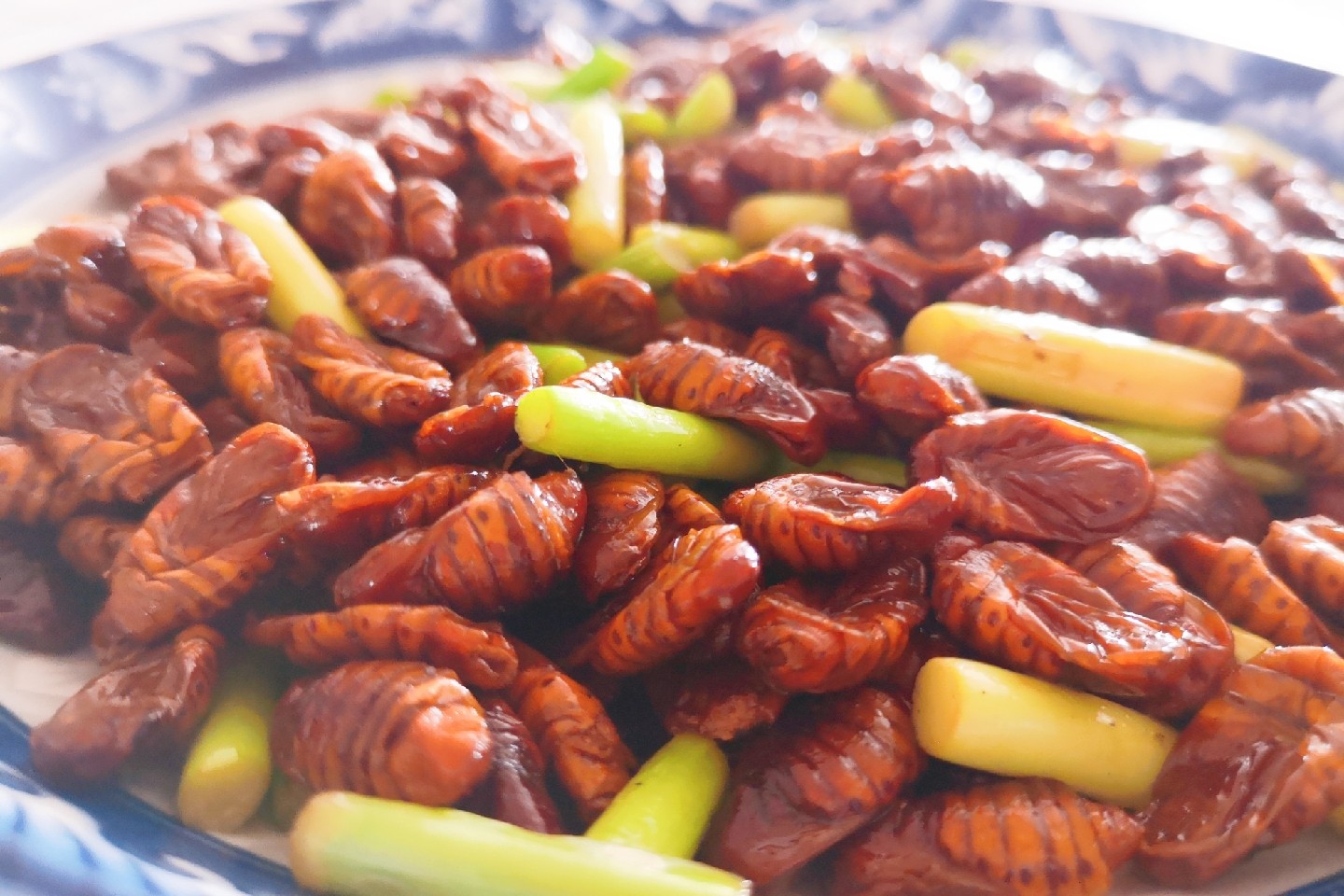 炒蠶蛹的做法-家常味炒菜譜-易網健康養生網 炒蠶蛹的做法-家常味炒菜譜