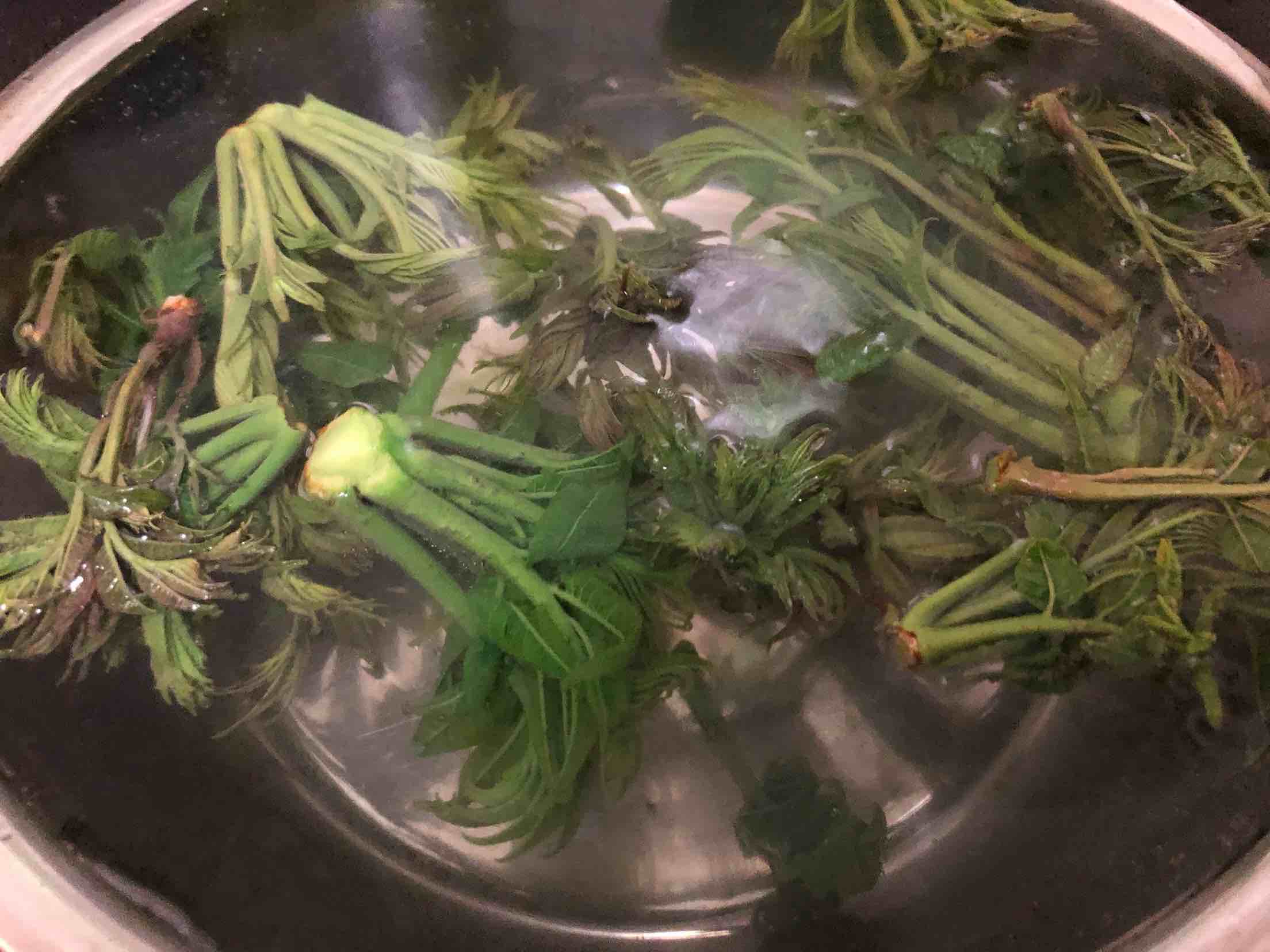 香椿頭炒雞蛋的做法-家常味炒菜譜