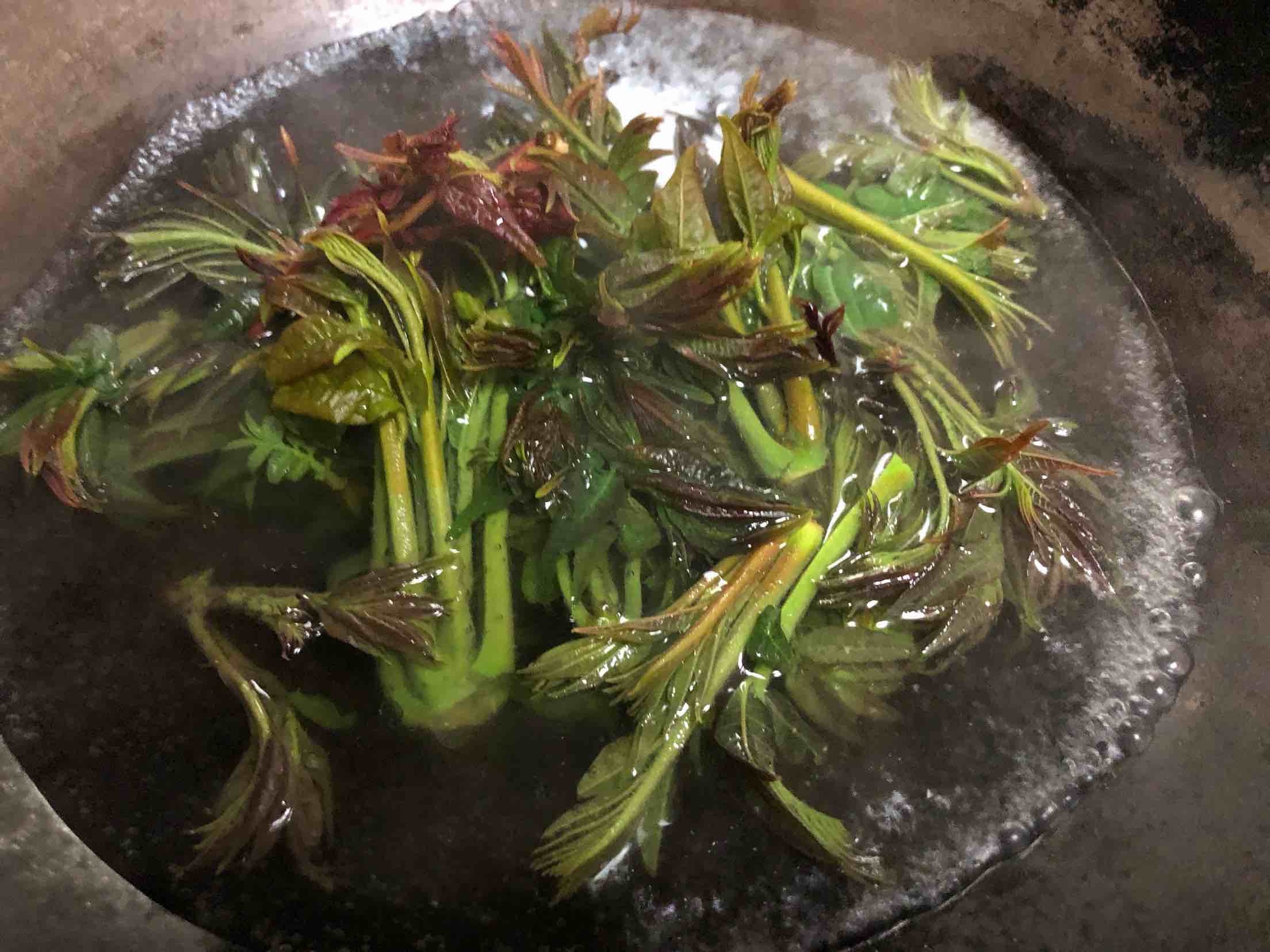 香椿頭炒雞蛋的做法-家常味炒菜譜