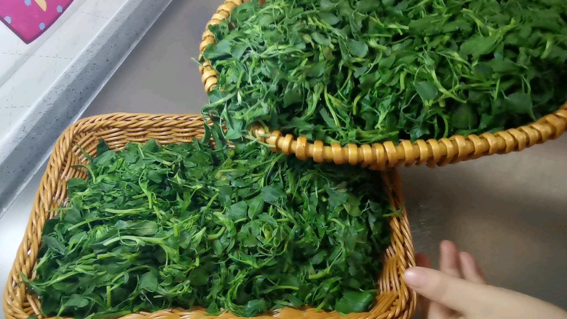 野菜的保存方法的做法-家常味煮菜譜-易網健康養生網 野菜的保存方法的做法-家常味煮菜譜