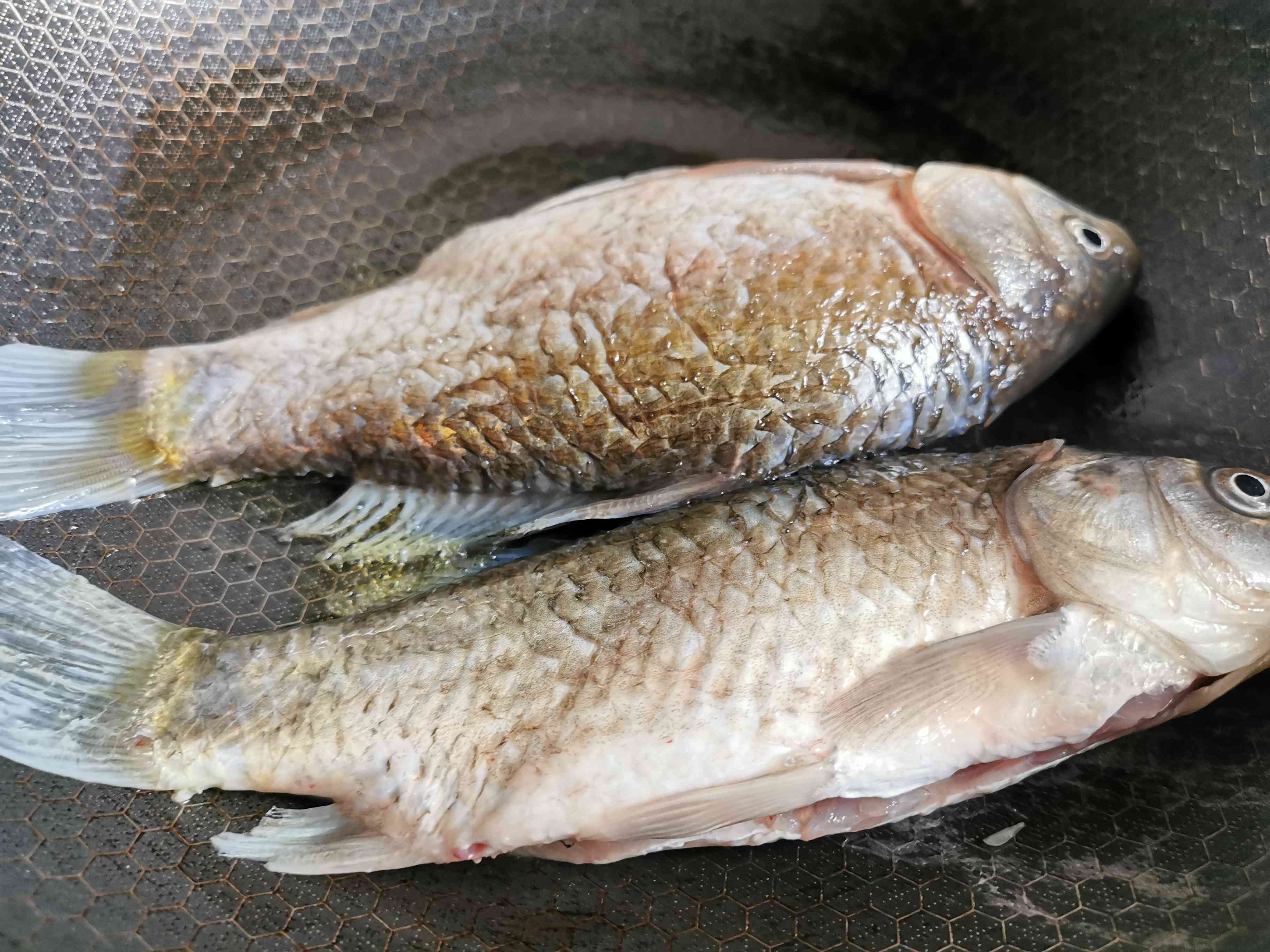 鯽魚豆腐湯的做法-家常味燉菜譜