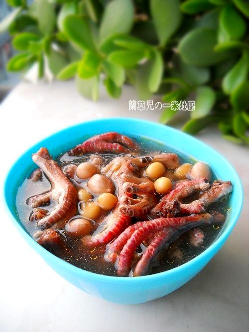 黃豆花生煲鴿爪的做法-家常味煲菜譜-易網健康養生網 黃豆花生煲鴿爪的做法-家常味煲菜譜