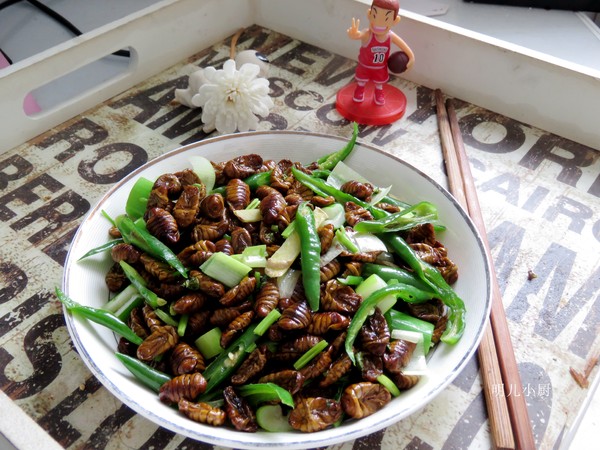 青椒炒蠶蛹的做法-家常味炒菜譜-易網健康養生網 青椒炒蠶蛹的做法-家常味炒菜譜