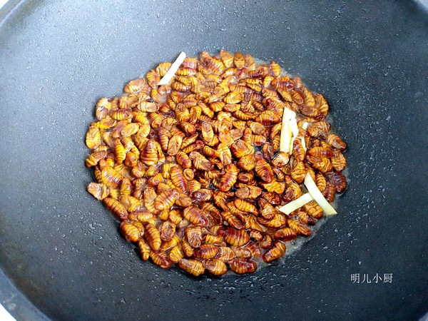 青椒炒蠶蛹的做法-家常味炒菜譜