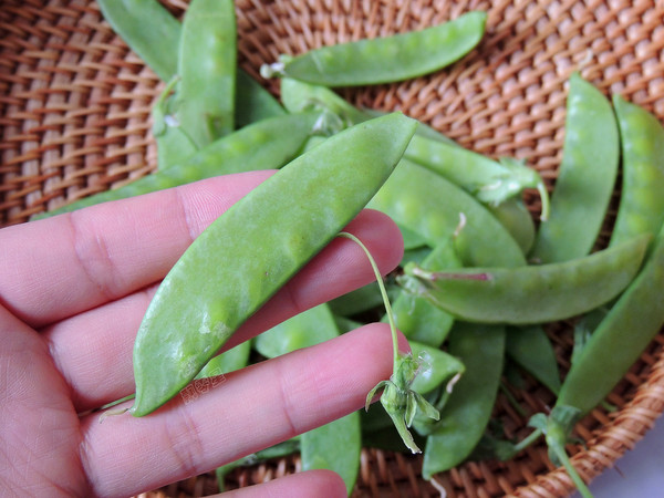 杏鮑菇炒荷蘭豆的做法-家常味炒菜譜