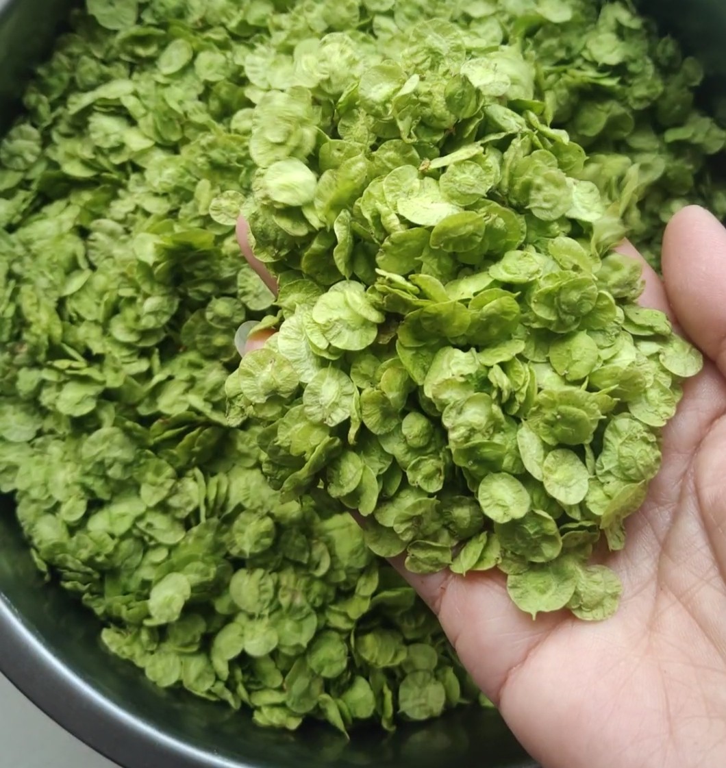 陽春三月的美食~蒸榆錢的做法-家常味蒸菜譜