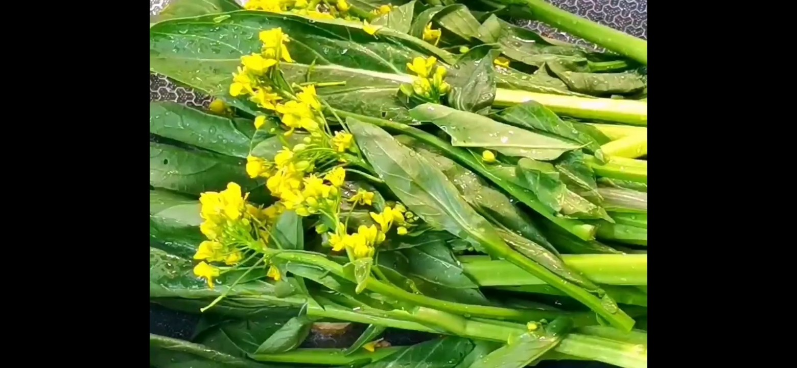 素炒油菜花的做法-家常味炒菜譜