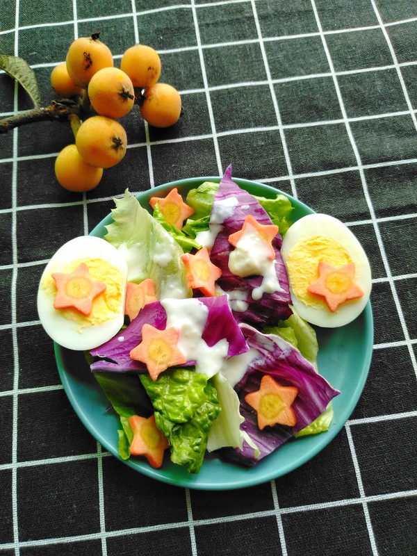 雞蛋蔬菜沙拉的做法-酸甜味拌菜譜-易網健康養生網 雞蛋蔬菜沙拉的做法-酸甜味拌菜譜