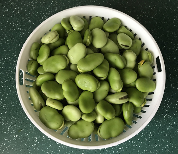五香蠶豆的做法-五香味煮菜譜-易網(wǎng)健康養(yǎng)生網(wǎng) 五香蠶豆的做法-五香味煮菜譜