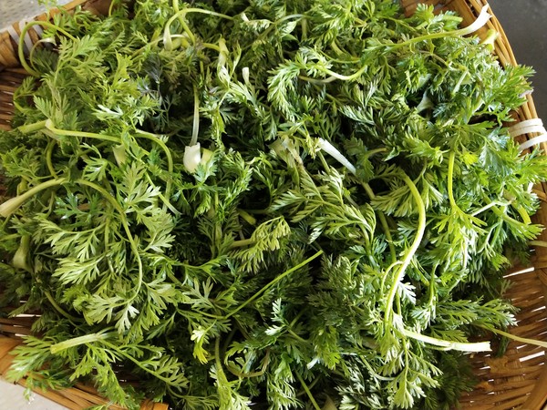 蒸野蘿卜纓的做法-家常味蒸菜譜