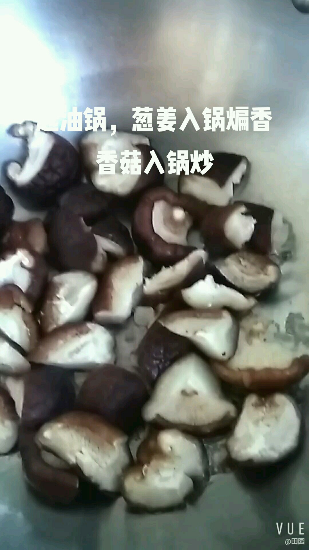 香菇炒圓白菜的做法-家常味炒菜譜
