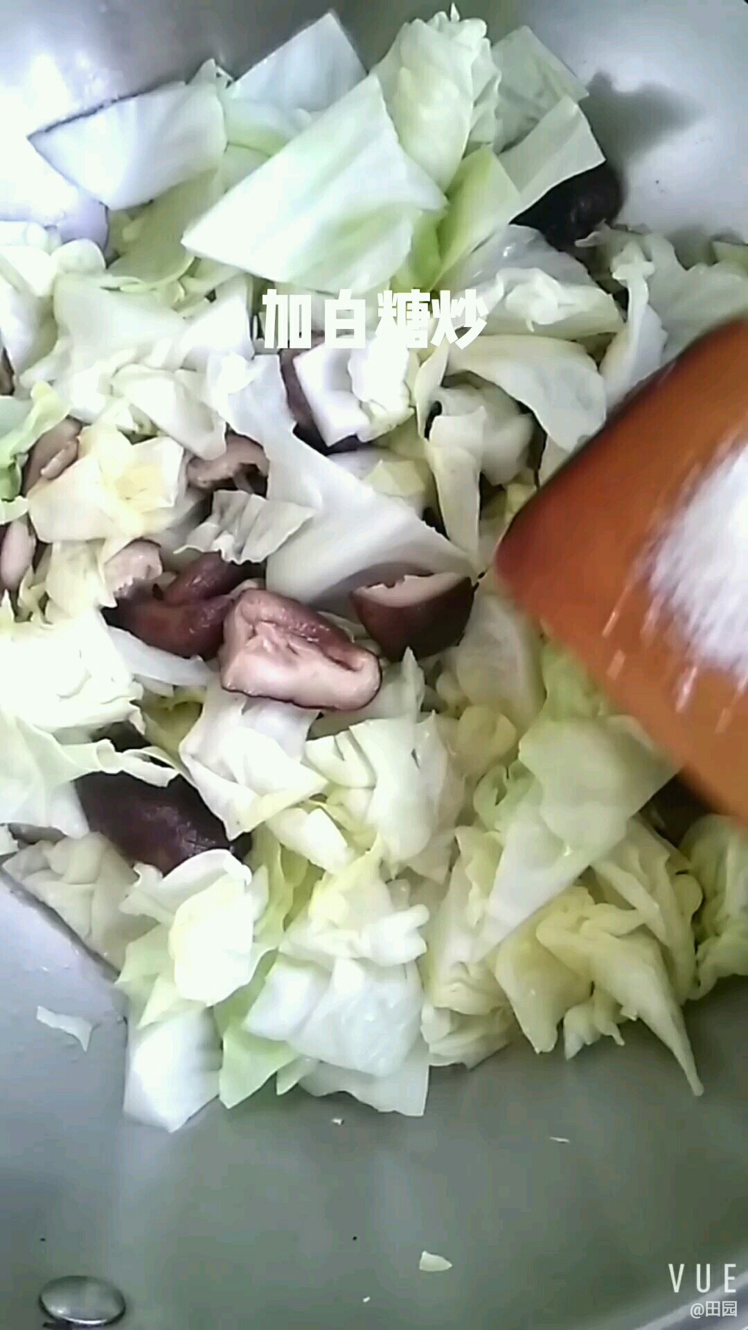 香菇炒圓白菜的做法-家常味炒菜譜