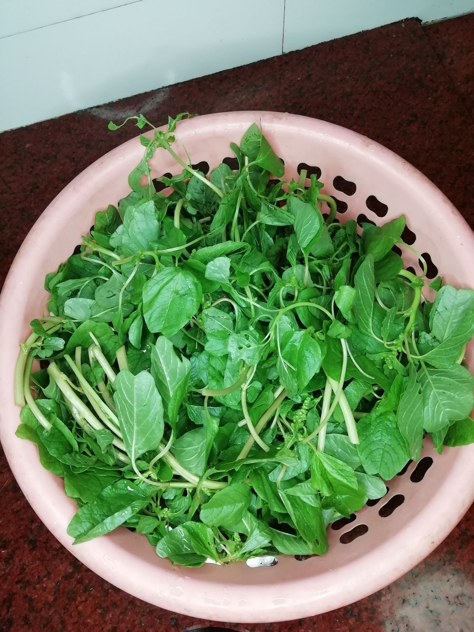 涼拌莧菜的做法-咸鮮味拌菜譜
