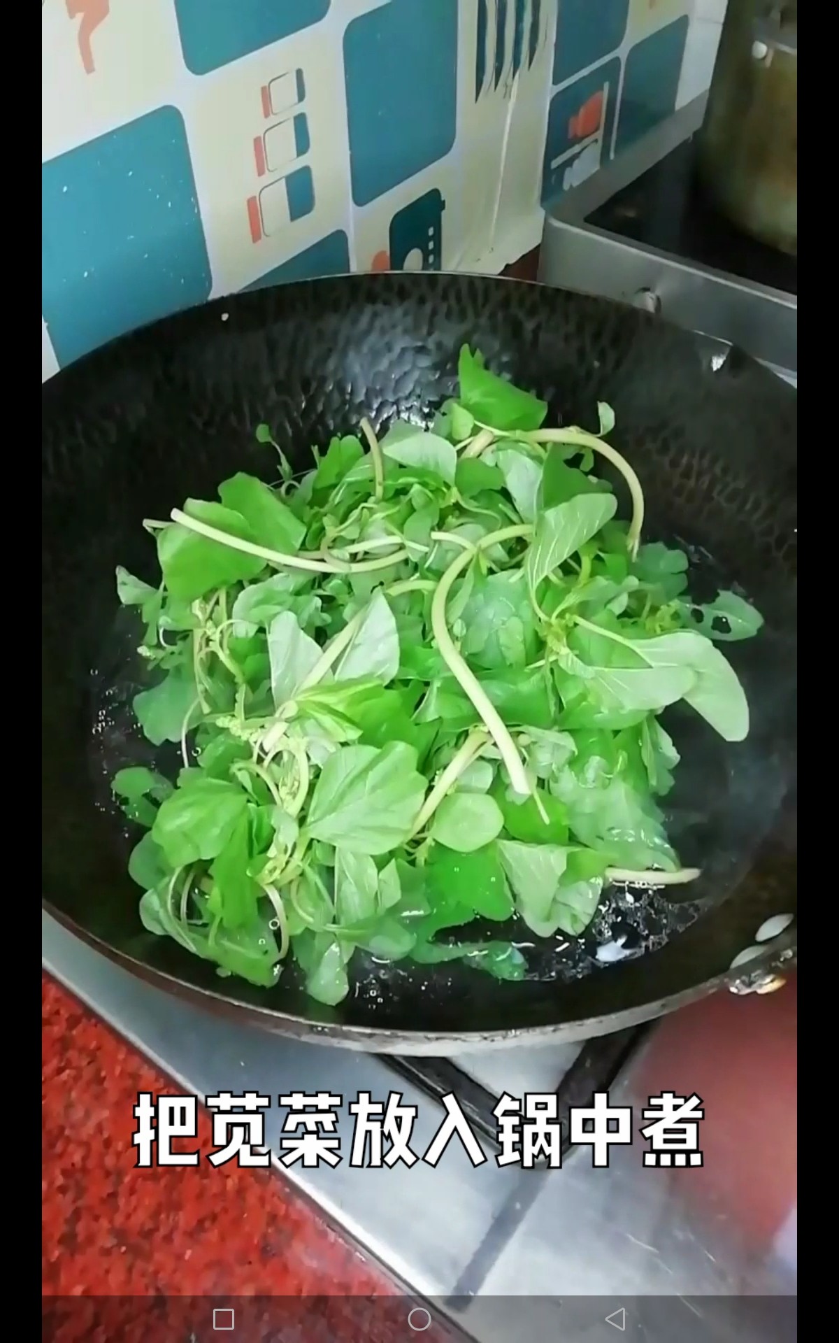 涼拌莧菜的做法-咸鮮味拌菜譜