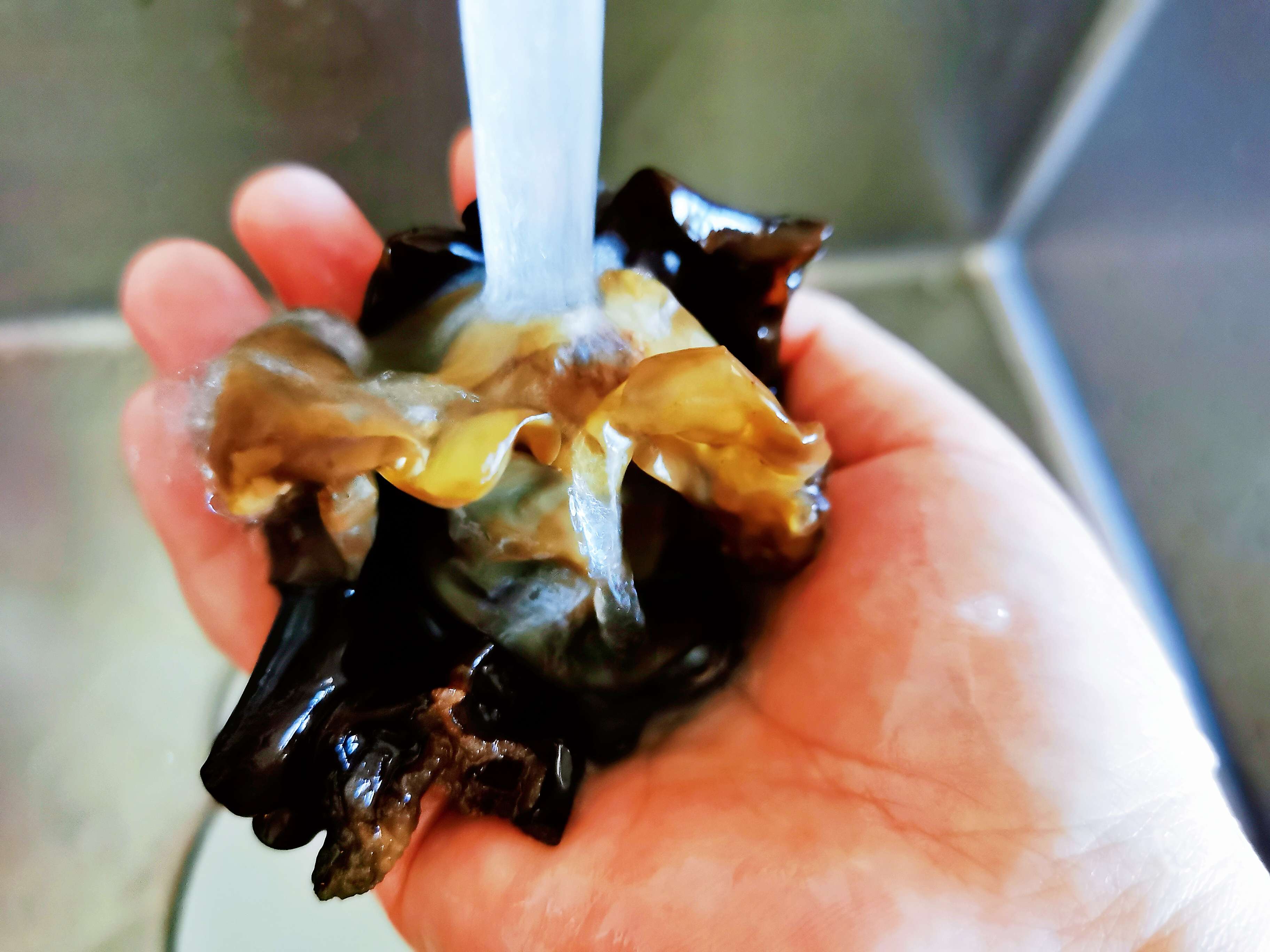 木耳炒山藥的做法-家常味炒菜譜-易網(wǎng)健康養(yǎng)生網(wǎng) 木耳炒山藥的做法-家常味炒菜譜