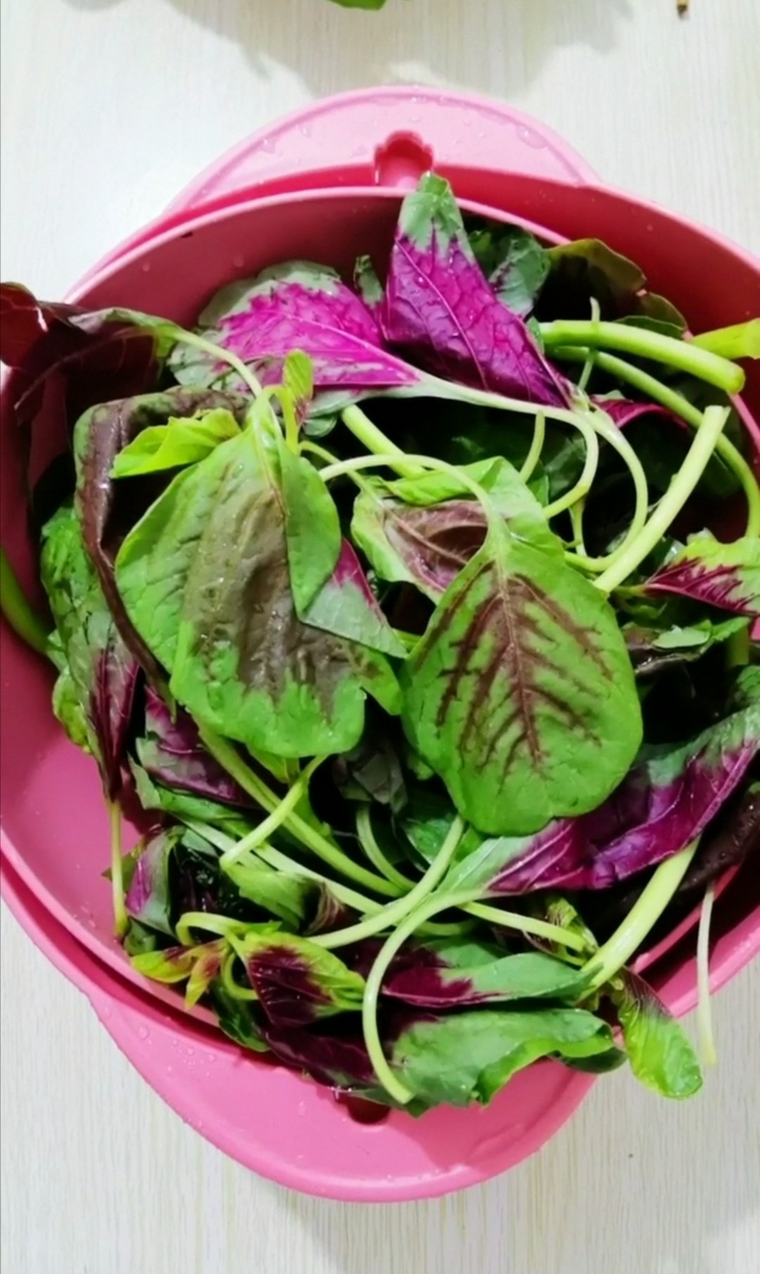 涼拌莧菜的做法-家常味拌菜譜