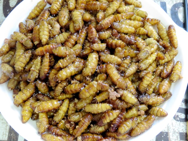 油炸蠶蛹的做法-家常味炸菜譜