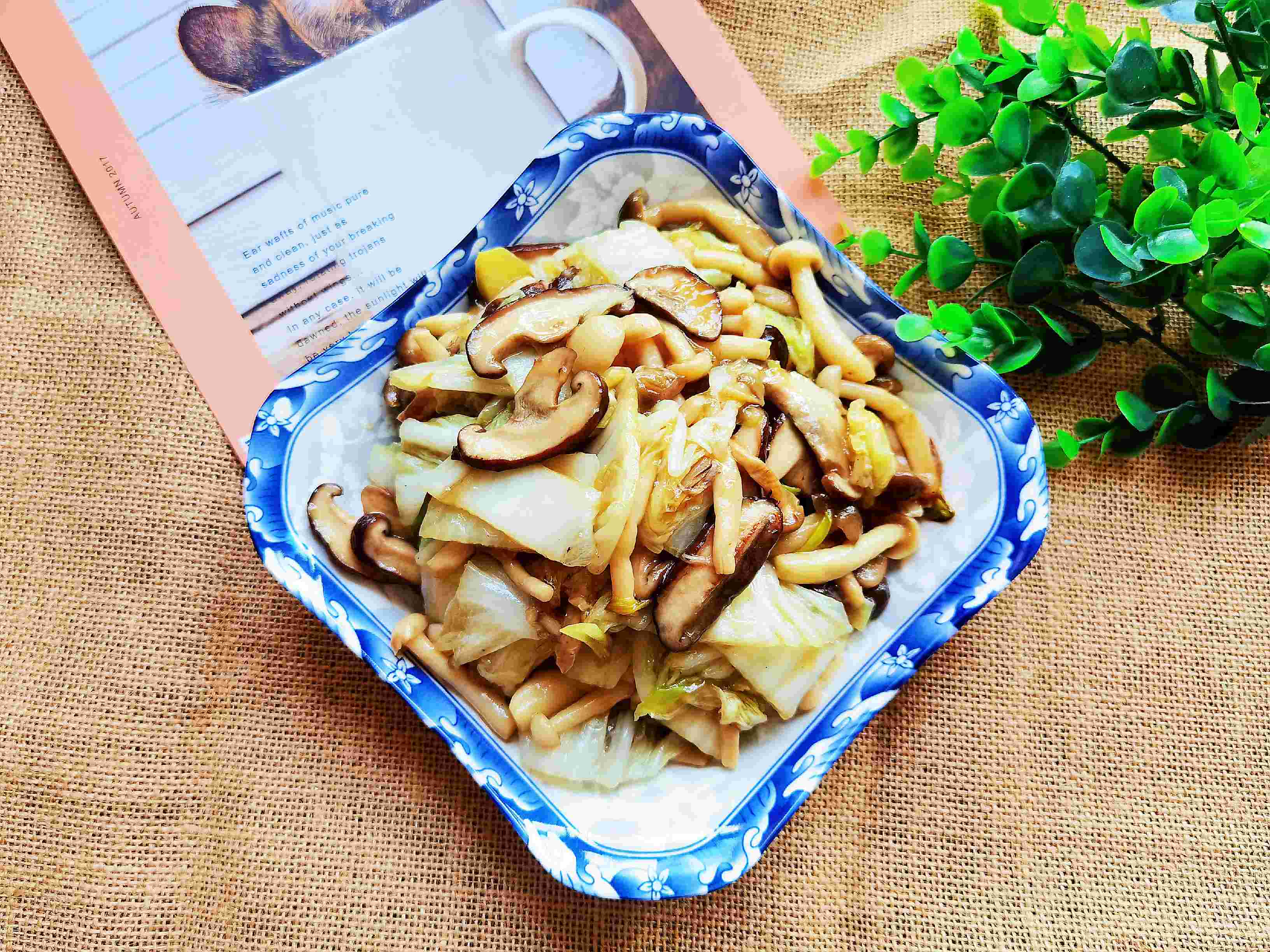 吃百菜不如吃白菜，白菜炒蘑菇，鮮美脆嫩又下飯的做法-咸鮮味炒菜譜