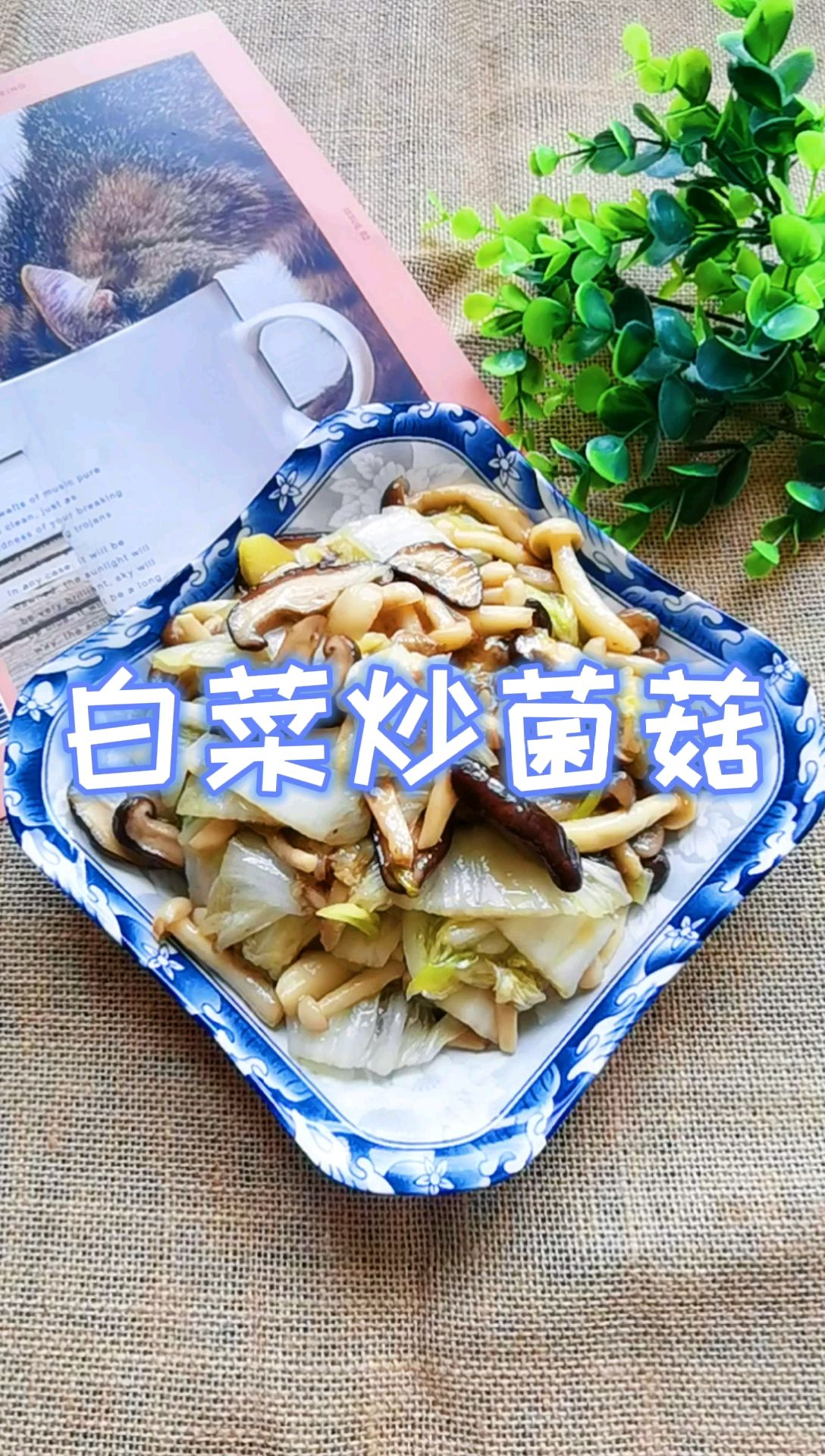 吃百菜不如吃白菜，白菜炒蘑菇，鮮美脆嫩又下飯的做法-咸鮮味炒菜譜
