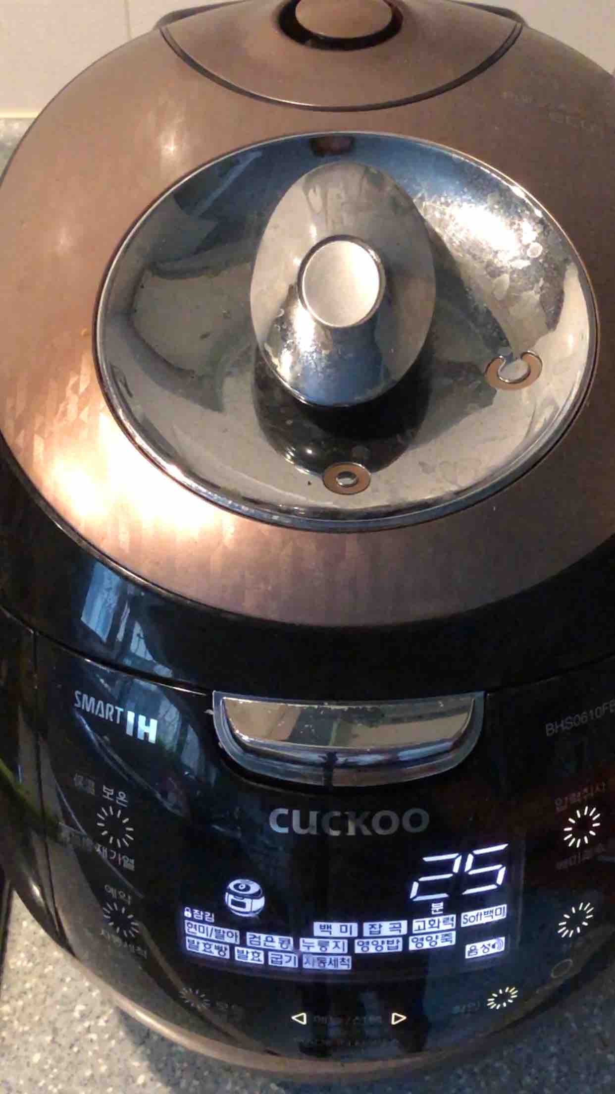 電飯煲燉雞的做法-咸鮮味燉菜譜