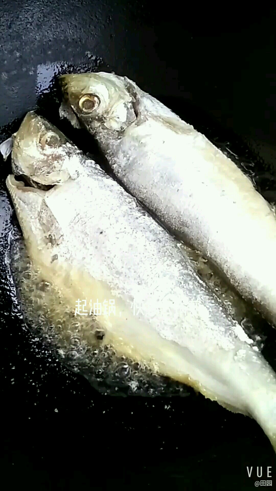 鮮美燒快魚的做法-咸鮮味燒菜譜