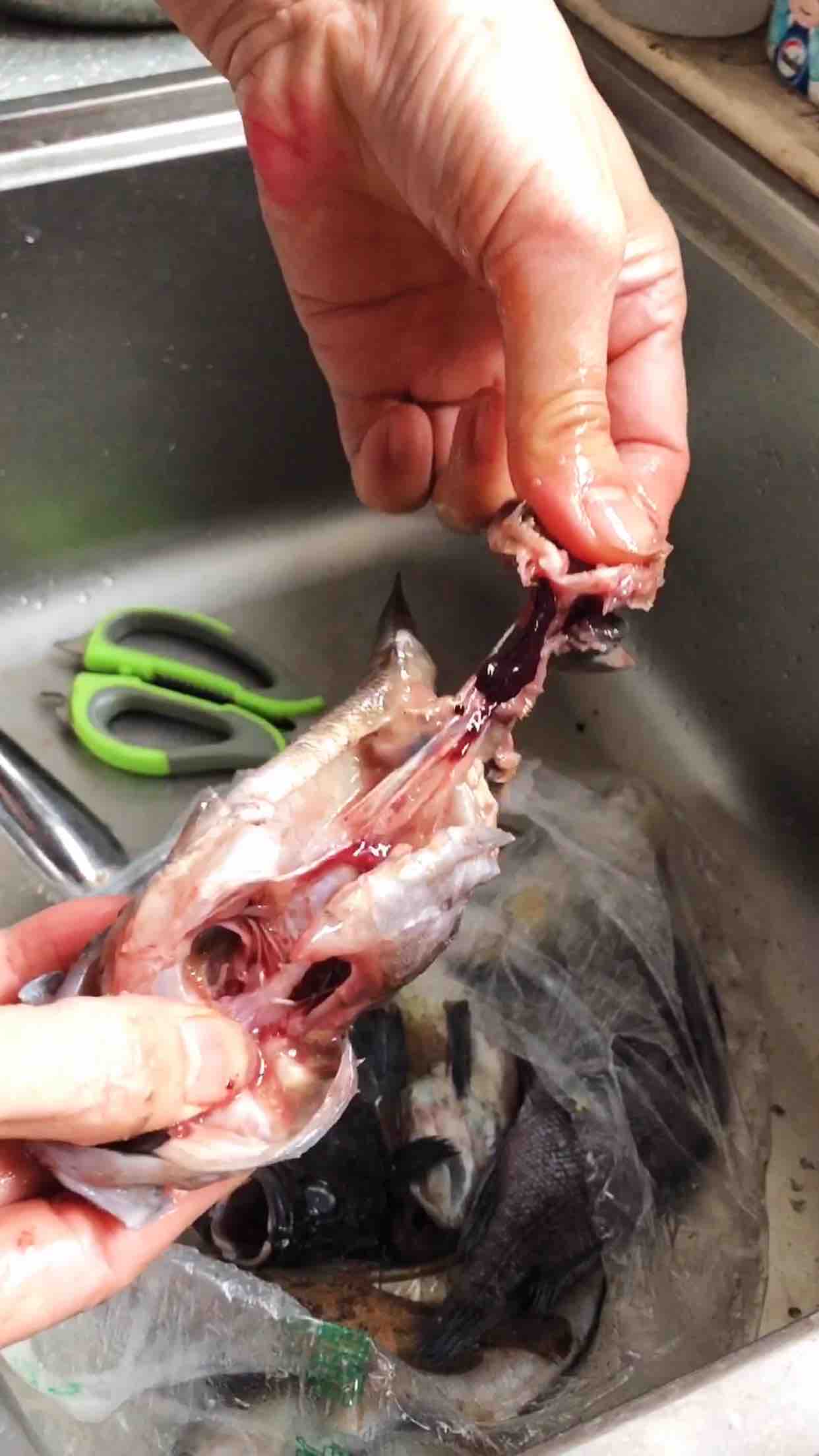 海魚燉豆腐的做法-咸鮮味燉菜譜