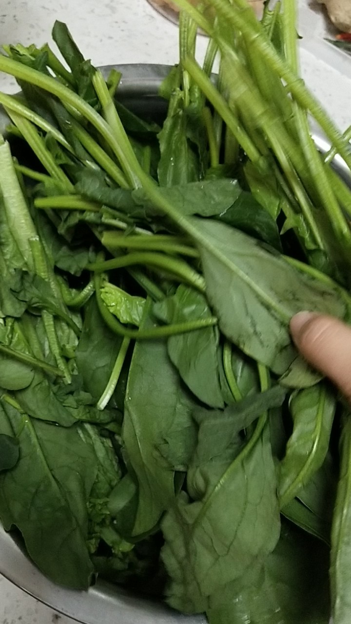 酸香開胃的涼拌菠菜的做法-家常味拌菜譜