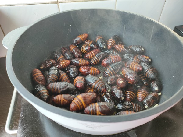 營養美味的蠔油蠶蛹，好吃又好做的做法-家常味炒菜譜