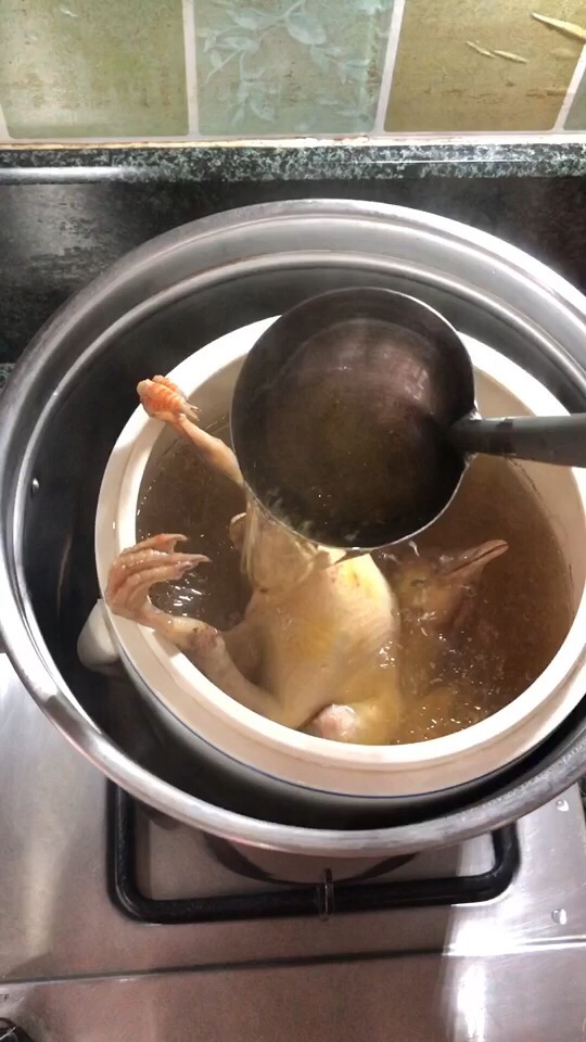 鮮甜美味的鴿子湯，這樣做滋補又養顏，冬天必備養生飲品！的做法-家常味燉菜譜