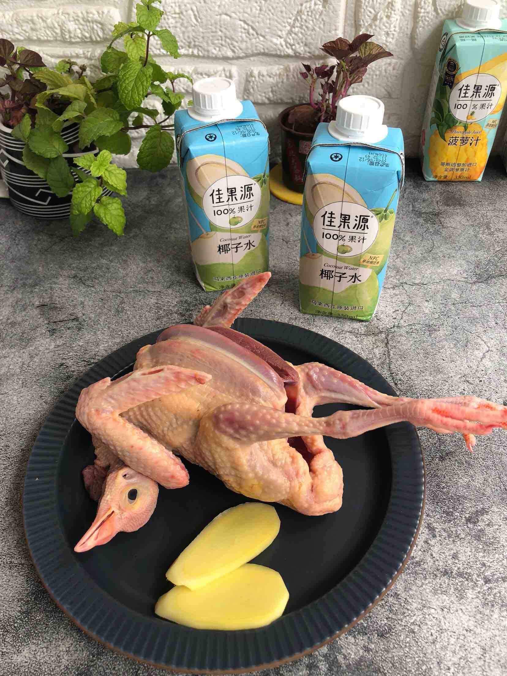 鮮甜美味的鴿子湯，這樣做滋補又養顏，冬天必備養生飲品！的做法-家常味燉菜譜