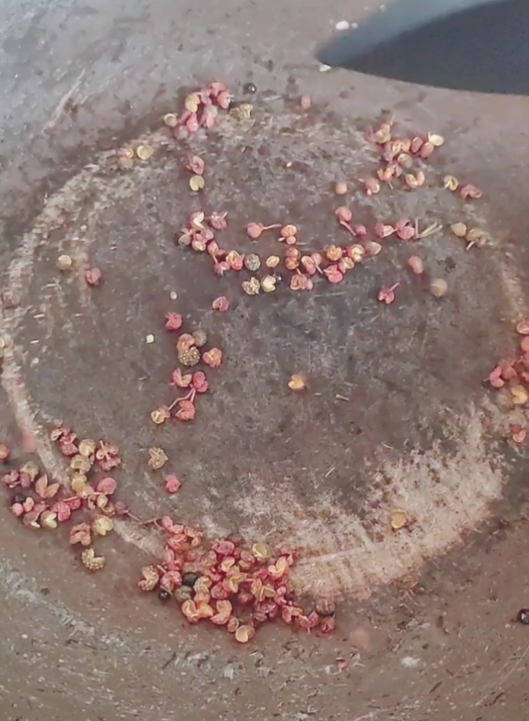 椒鹽烤排骨的做法-咸鮮味烤菜譜