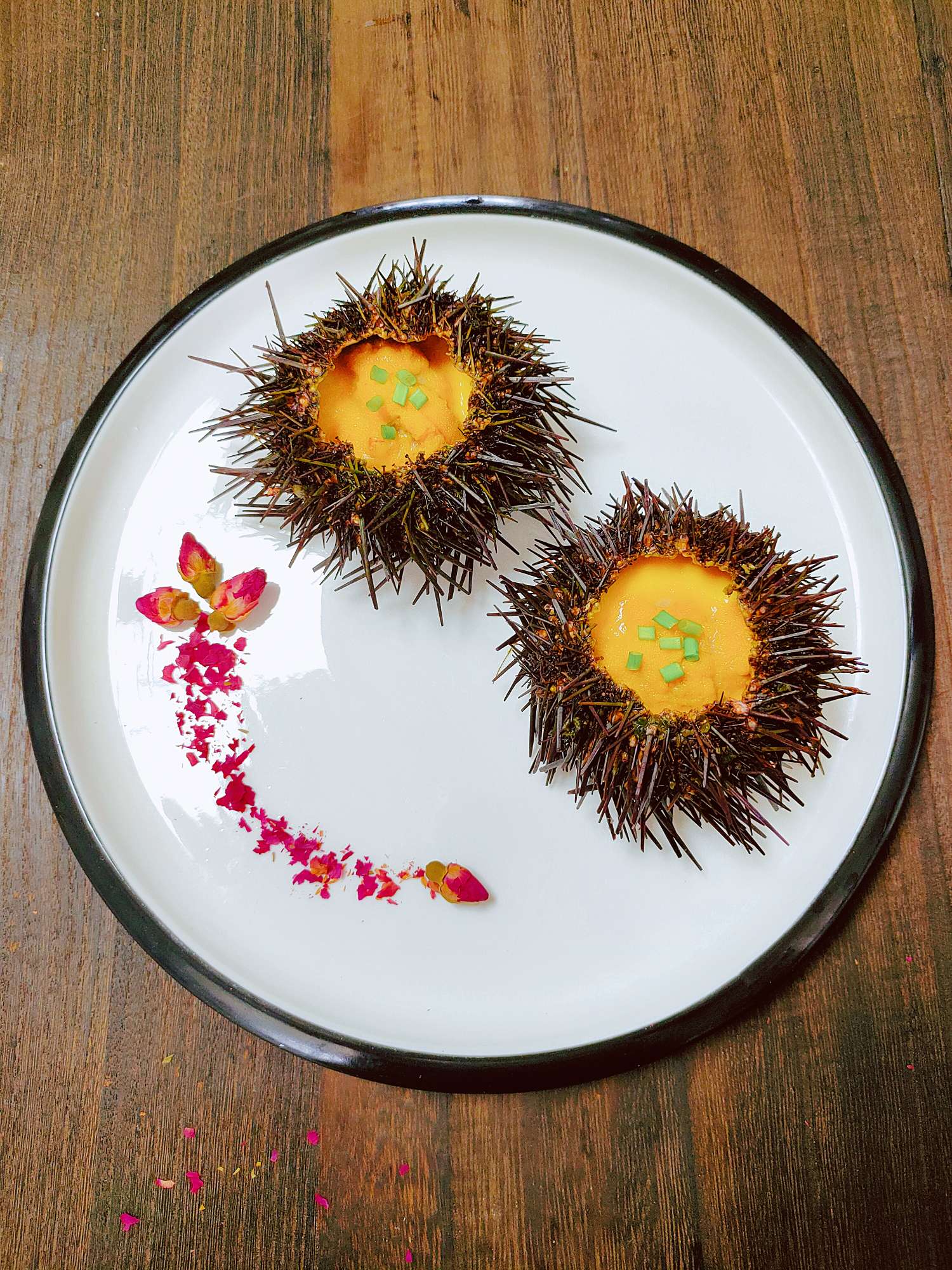 海膽蒸蛋的做法-其它口味蒸菜譜-易網(wǎng)健康養(yǎng)生網(wǎng) 海膽蒸蛋的做法-其它口味蒸菜譜