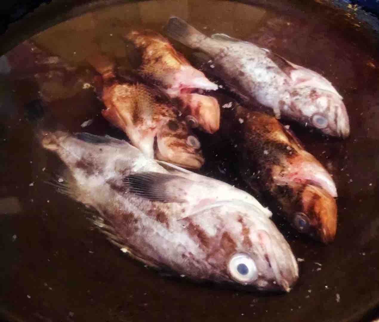黑魚豆腐湯的做法-家常味煮菜譜-易網(wǎng)健康養(yǎng)生網(wǎng) 黑魚豆腐湯的做法-家常味煮菜譜