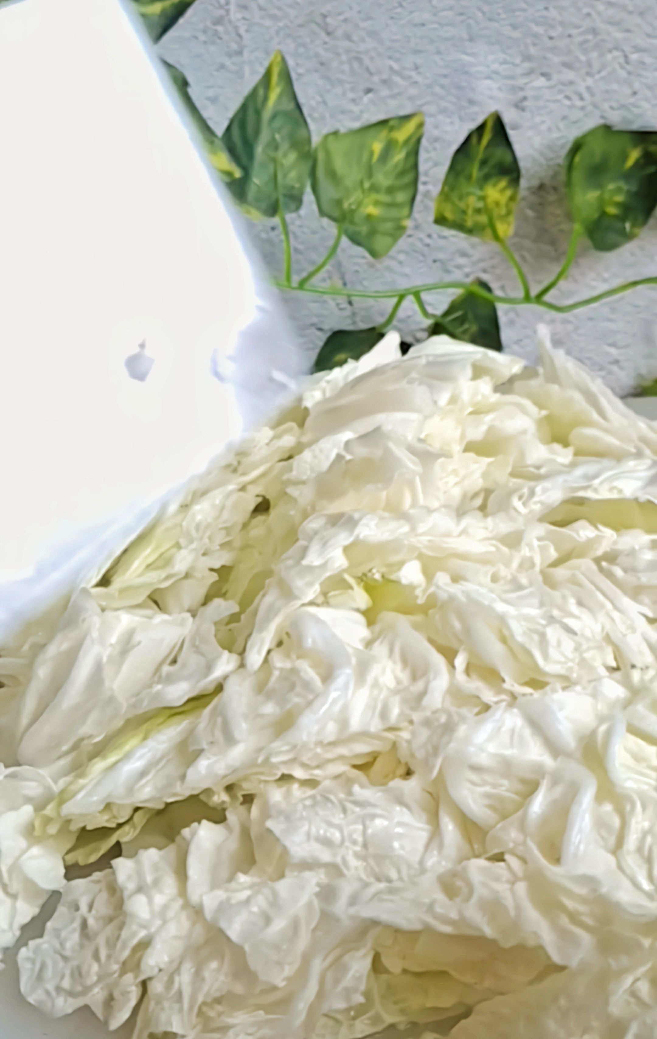 最家常的冬季暖鍋,百吃不厭~白菜粉條牛肉鍋的做法-咸鮮味煮菜譜-易網(wǎng)健康養(yǎng)生網(wǎng) 最家常的冬季暖鍋,百吃不厭~白菜粉條牛肉鍋的做法-咸鮮味煮菜譜