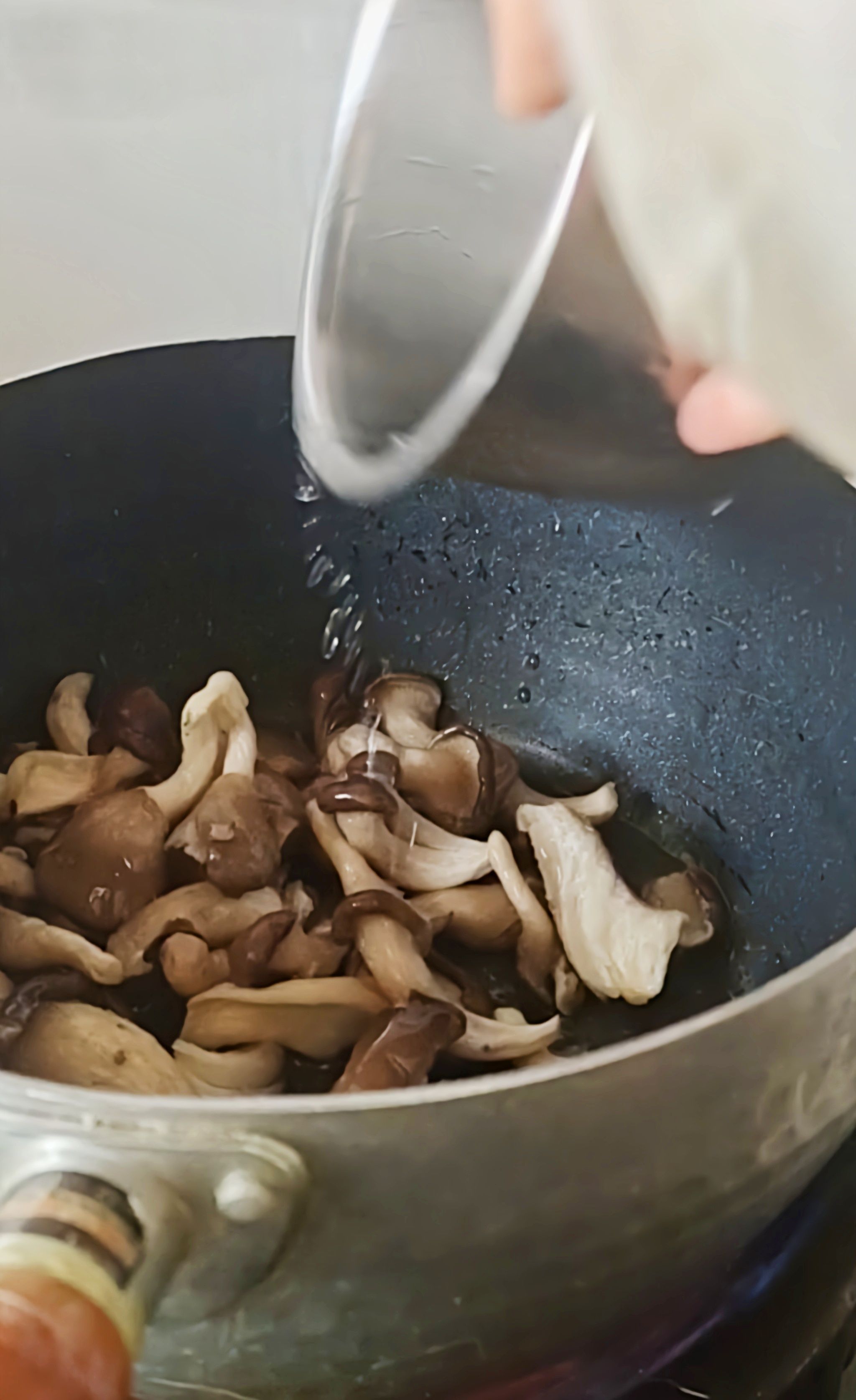 最家常的冬季暖鍋,百吃不厭~白菜粉條牛肉鍋的做法-咸鮮味煮菜譜-易網(wǎng)健康養(yǎng)生網(wǎng) 最家常的冬季暖鍋,百吃不厭~白菜粉條牛肉鍋的做法-咸鮮味煮菜譜