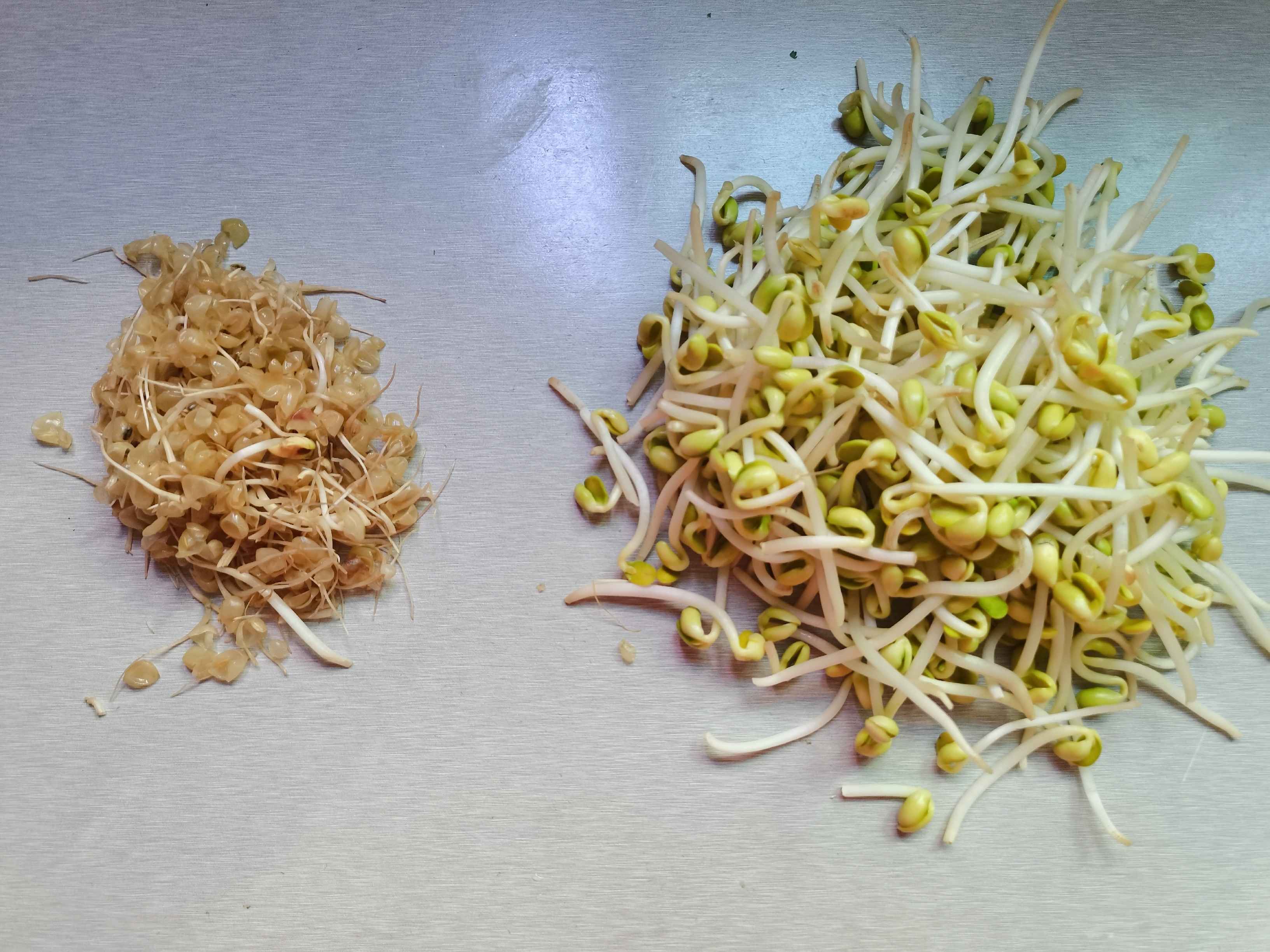家常菜“清炒黃豆芽”的做法-家常味炒菜譜