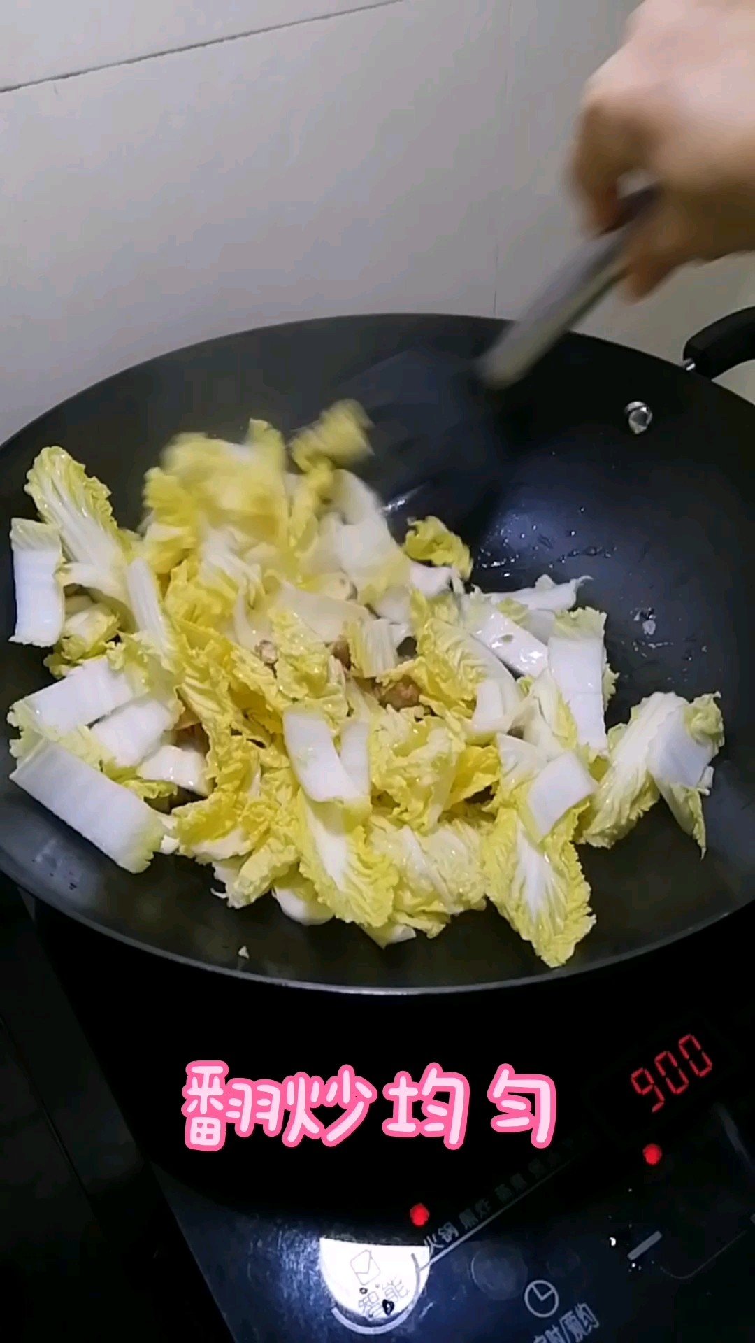 肉丁白菜燉粉條的做法-家常味燉菜譜