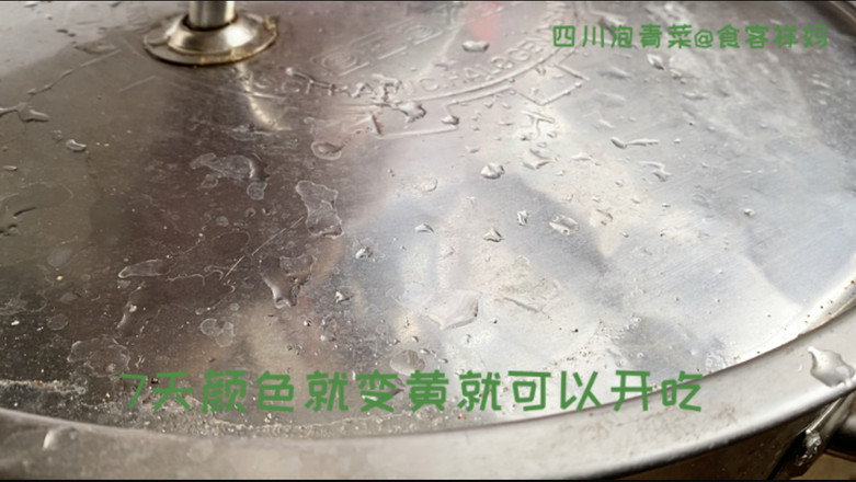 四川泡青菜的做法-咸鮮味煮菜譜
