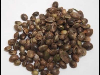火麻仁怎么吃？小編分享三種搭配方法