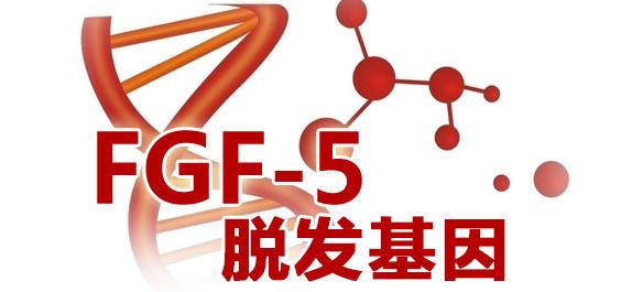 沒有家族脫發史 我為什么年紀輕輕也禿了-易網健康養生網 沒有家族脫發史 我為什么年紀輕輕也禿了