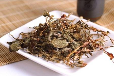 金線蓮的六大功效與作用，清熱養(yǎng)顏幫你去除痘痘粉刺