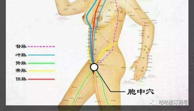 臻丸丨作為女人一定要用，一定要進(jìn)來看看！