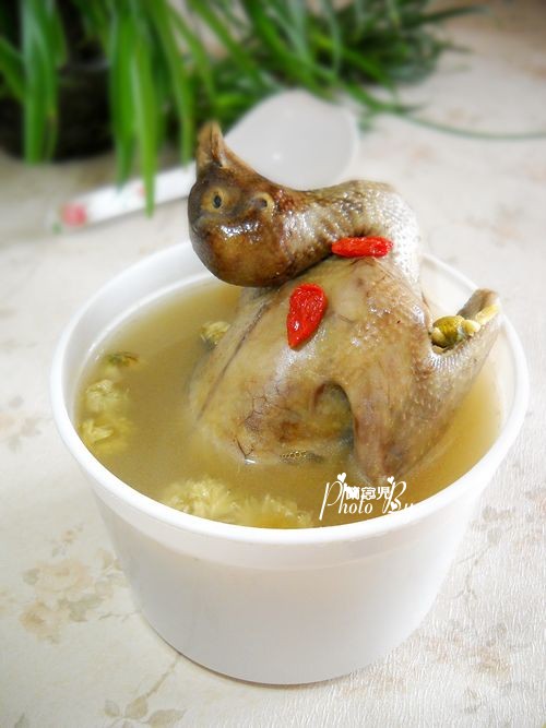 枸杞菊花燉乳鴿的做法-家常味燉菜譜 枸杞菊花燉乳鴿的做法-家常味燉菜譜